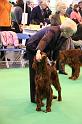 Crufts2010 994